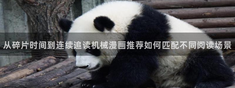 漫画免费看在线