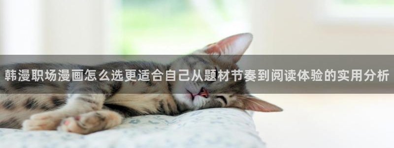 免费看漫画在线