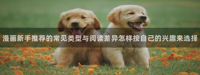 免费漫画每日推荐：漫画新手推荐的常见类型与阅读差异怎样按自己的兴趣来选择