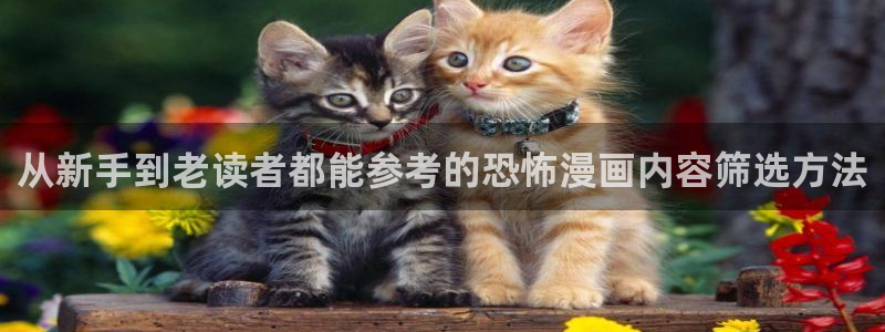 免费漫画网站地址：从新手到老读者都能参考的恐怖漫画内容筛选方法